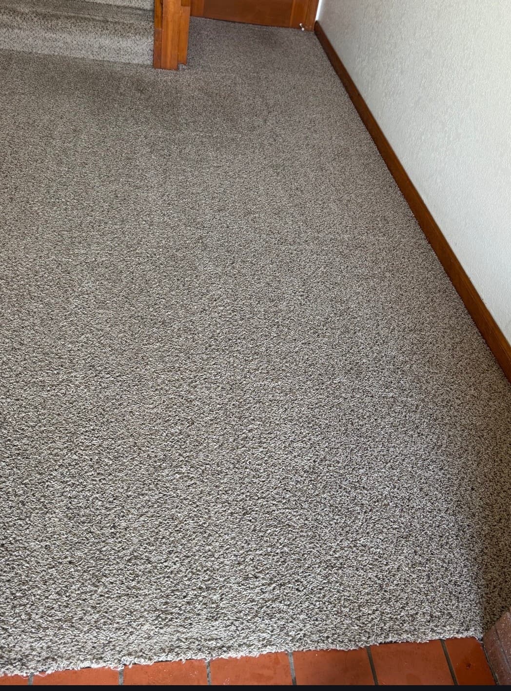 Hallway Carpet