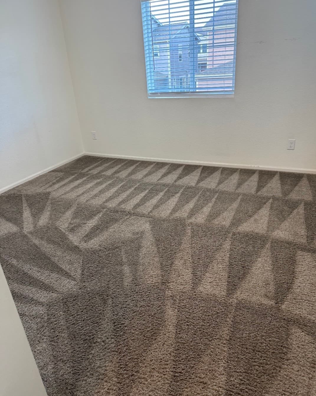 Room Carpet Refresh