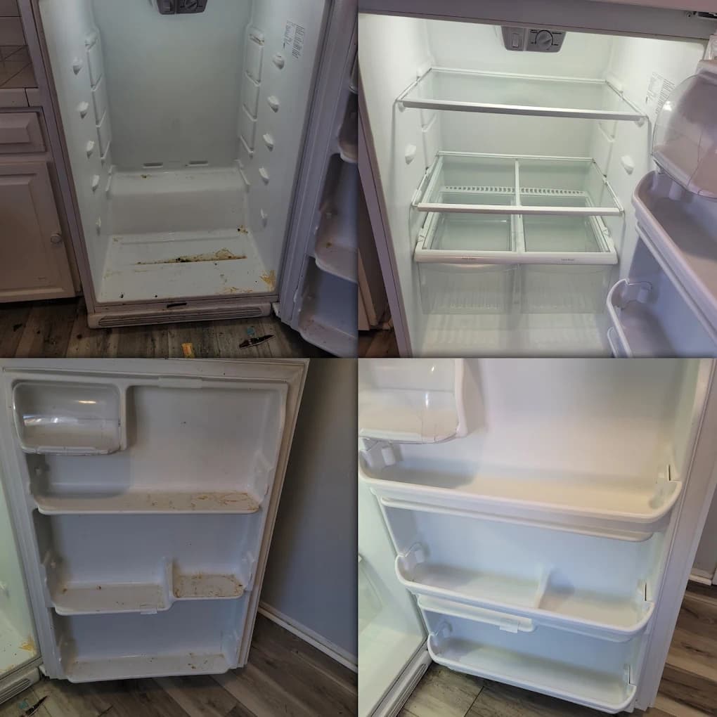 Fridge Interior before and after